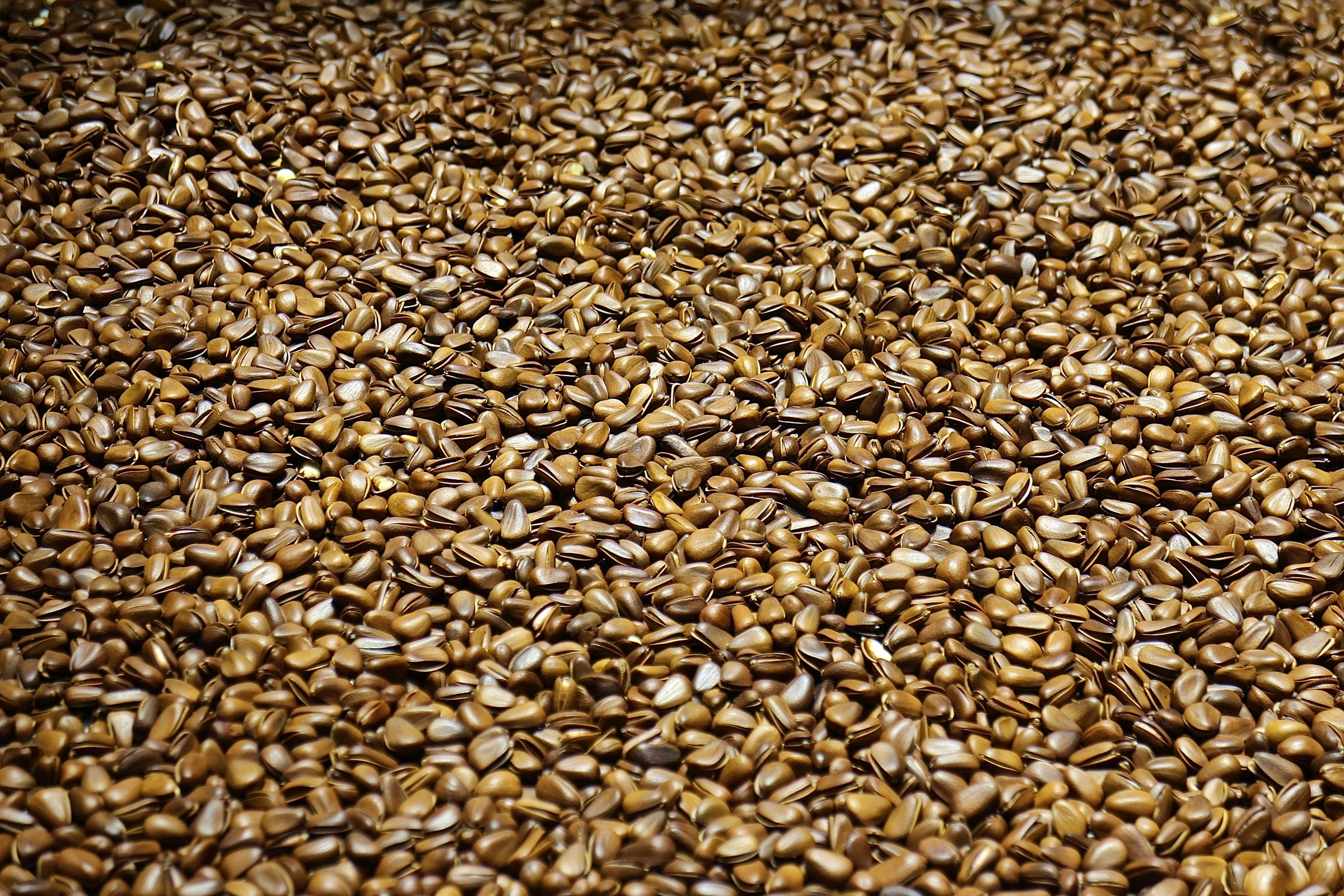 Flaxseed Oil