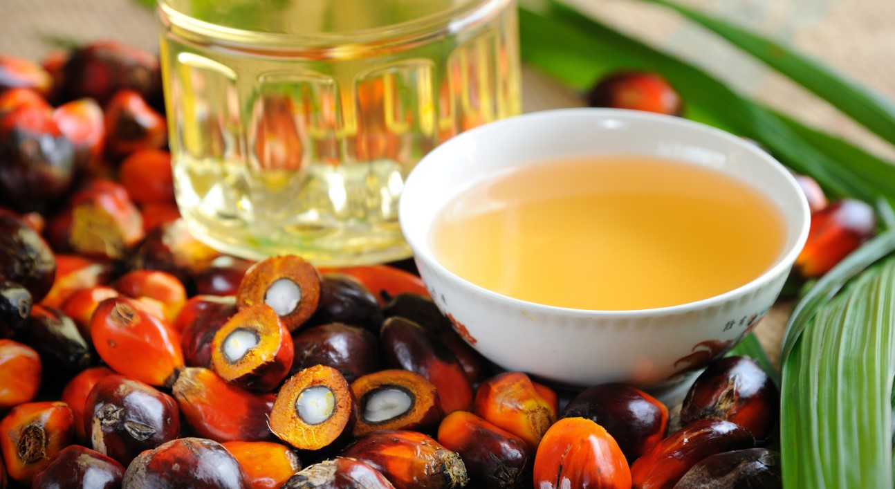 Palm Oil