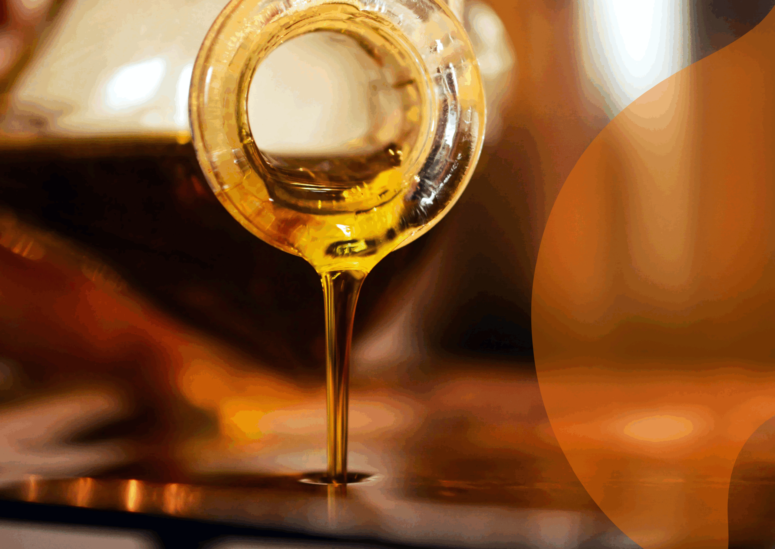 How we make refining safe: Risk management of 3-MCPD & GE in Vegetable Oils